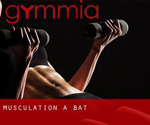 Musculation à Bat