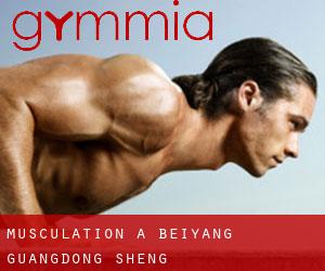 Musculation à Beiyang (Guangdong Sheng)