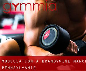 Musculation à Brandywine Manor (Pennsylvanie)