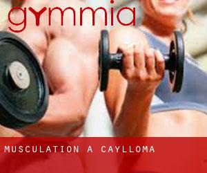 Musculation à Caylloma