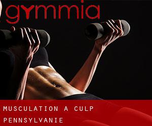 Musculation à Culp (Pennsylvanie) Musculation à Culp (Pennsylvanie)