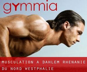 Musculation à Dahlem (Rhénanie du Nord-Westphalie)