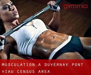 Musculation à Duvernay-Pont-Viau (census area)