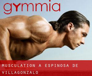 Musculation à Espinosa de Villagonzalo
