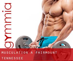Musculation à Fairmount (Tennessee)