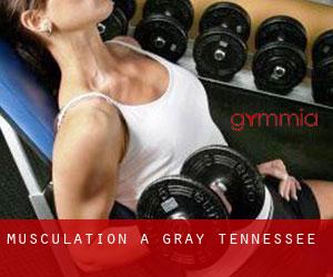 Musculation à Gray (Tennessee)