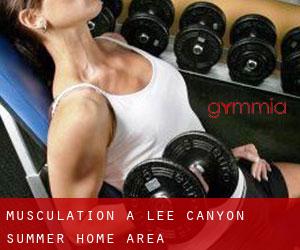 Musculation à Lee Canyon Summer Home Area