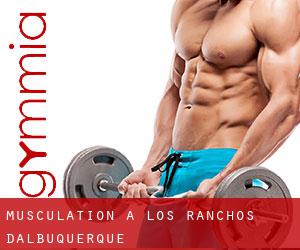 Musculation à Los Ranchos d'Albuquerque
