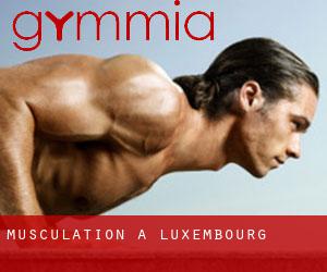 Musculation à Luxembourg