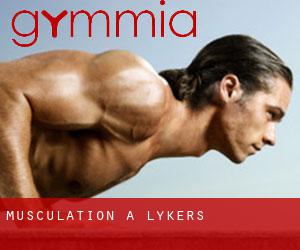 Musculation à Lykers