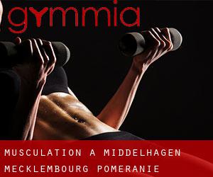 Musculation à Middelhagen (Mecklembourg-Poméranie)