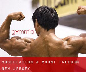 Musculation à Mount Freedom (New Jersey)