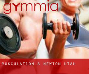 Musculation à Newton (Utah)