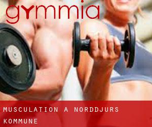 Musculation à Norddjurs Kommune
