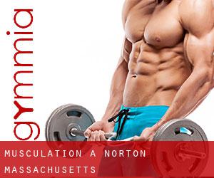 Musculation à Norton (Massachusetts)