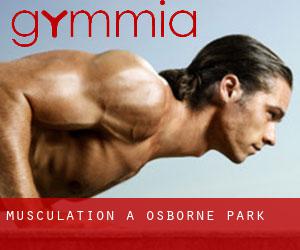 Musculation à Osborne Park