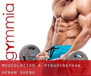 Musculation à Pingdingshan (Henan Sheng) Musculation à Pingdingshan (Henan Sheng)