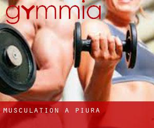 Musculation à Piura Musculation à Piura