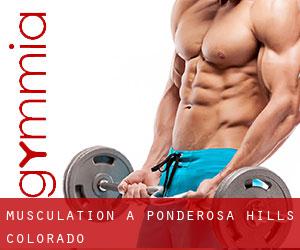 Musculation à Ponderosa Hills (Colorado)