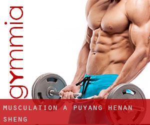 Musculation à Puyang (Henan Sheng) Musculation à Puyang (Henan Sheng)