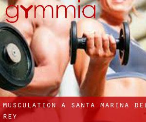 Musculation à Santa Marina del Rey
