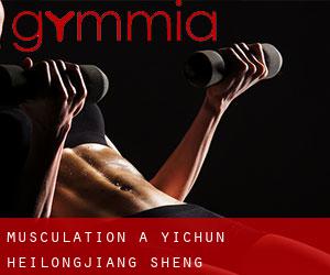 Musculation à Yichun (Heilongjiang Sheng)