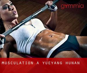 Musculation à Yueyang (Hunan) Musculation à Yueyang (Hunan)