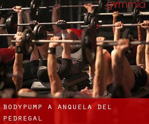 BodyPump à Anquela del Pedregal