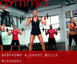 BodyPump à Egypt Mills (Missouri)