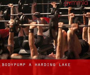 BodyPump à Harding Lake BodyPump à Harding Lake