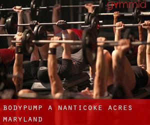 BodyPump à Nanticoke Acres (Maryland)