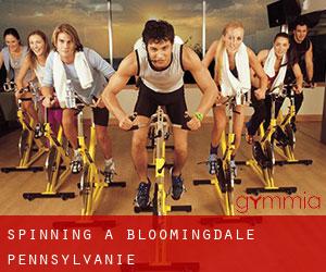 Spinning à Bloomingdale (Pennsylvanie)