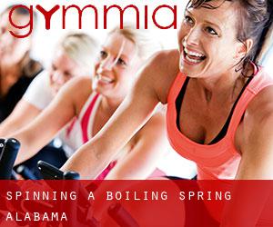 Spinning à Boiling Spring (Alabama)