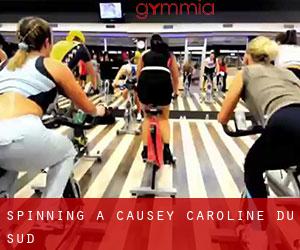 Spinning à Causey (Caroline du Sud) Spinning à Causey (Caroline du Sud)