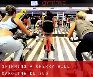 Spinning à Cherry Hill (Caroline du Sud) Spinning à Cherry Hill (Caroline du Sud)