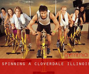 Spinning à Cloverdale (Illinois)