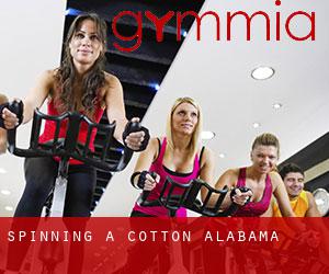 Spinning à Cotton (Alabama)