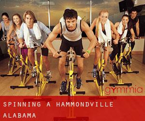 Spinning à Hammondville (Alabama) Spinning à Hammondville (Alabama)