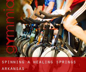 Spinning à Healing Springs (Arkansas)