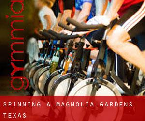 Spinning à Magnolia Gardens (Texas) Spinning à Magnolia Gardens (Texas)