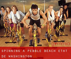 Spinning à Pebble Beach (État de Washington)