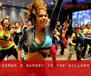 Zumba à Barnby in the Willows