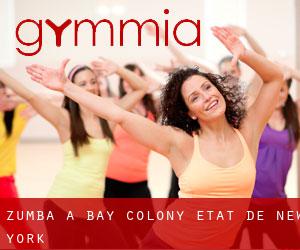 Zumba à Bay Colony (État de New York) Zumba à Bay Colony (État de New York)