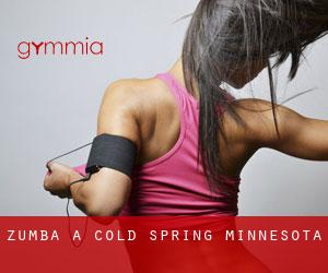 Zumba à Cold Spring (Minnesota)