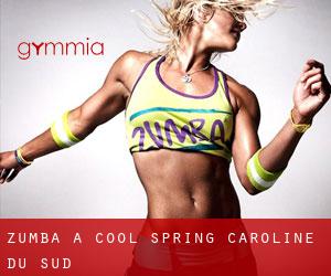Zumba à Cool Spring (Caroline du Sud)