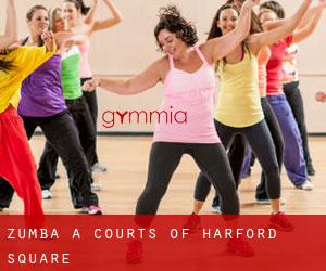 Zumba à Courts of Harford Square