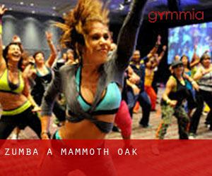 Zumba à Mammoth Oak Zumba à Mammoth Oak