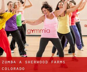 Zumba à Sherwood Farms (Colorado)