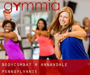 BodyCombat à Annandale (Pennsylvanie)