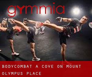 BodyCombat à Cove on Mount Olympus Place